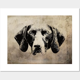 German Shorthaired Pointer Posters and Art